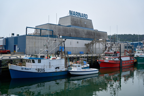 Eau,Marina,Été,Saison,MRC Côte-de-Gaspé,Région,Rivière-au-Renard,Jour,Temps